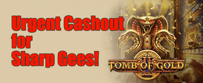 7bit Casino: Nigeria's Top Games