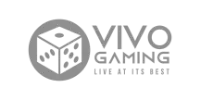 Flutterwave partner logo
